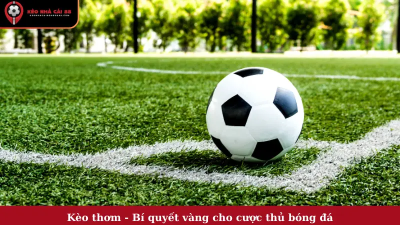 Kèo Thơm - Bí Quyết Vàng Cho Cược Thủ Bóng Đá
