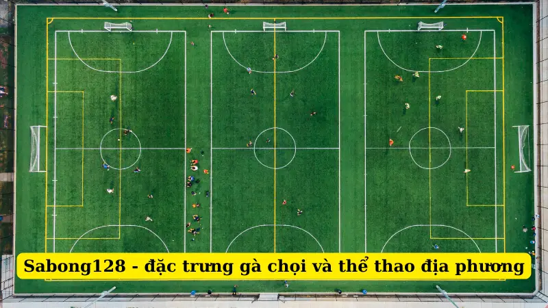 Sabong128 - đặc trưng gà chọi và thể thao địa phương