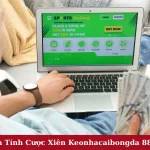 Bí Quyết Cách Tính Cược Xiên Keonhacaibongda 88 Chuẩn Nhất 