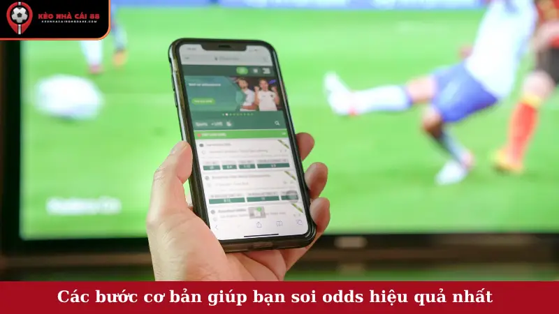 Các bước cơ bản giúp bạn soi odds hiệu quả nhất