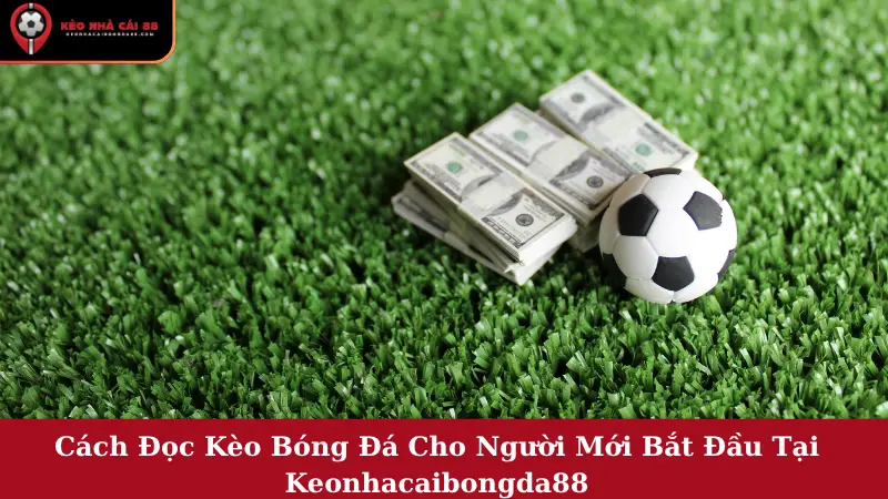 Cách Đọc Kèo Bóng Đá Cho Người Mới Bắt Đầu Tại Keonhacaibongda88