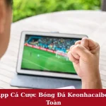 Cập Nhật App Cá Cược Bóng Đá Keonhacaibongda88 An Toàn