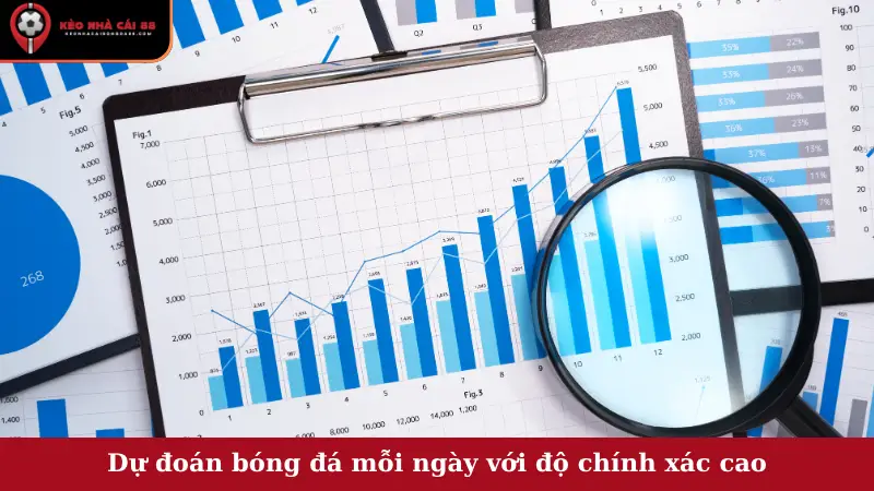 Dự đoán bóng đá mỗi ngày với độ chính xác cao