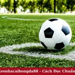 Kèo Châu Á Keonhacaibongda88 - Cách Đọc Chuẩn Cho Tân Thủ