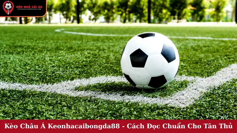 Kèo Châu Á Keonhacaibongda88 - Cách Đọc Chuẩn Cho Tân Thủ