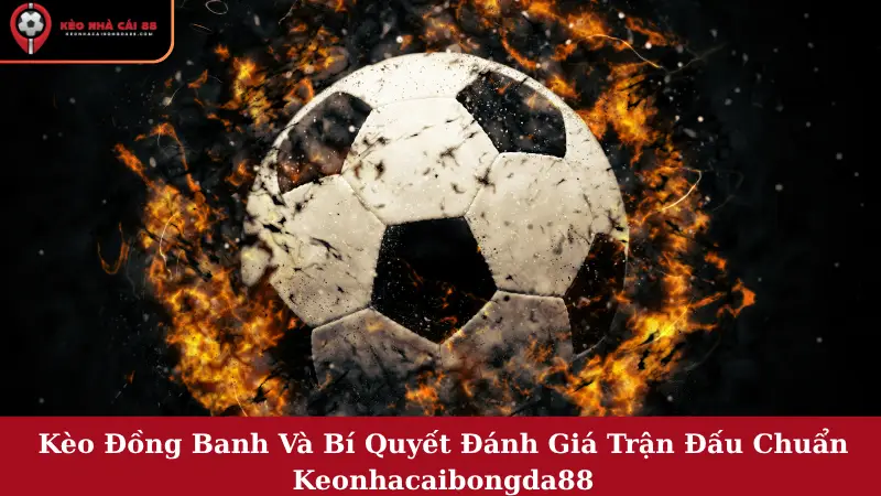 Kèo Đồng Banh Và Bí Quyết Đánh Giá Trận Đấu Chuẩn Keonhacaibongda88