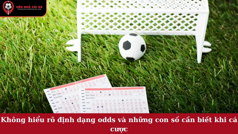 Không hiểu rõ định dạng odds và những con số cần biết khi cá cược