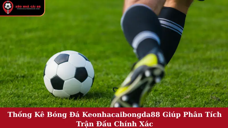 Thống Kê Bóng Đá Keonhacaibongda88 Giúp Phân Tích Trận Đấu Chính Xác