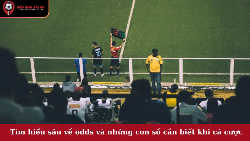 Tìm hiểu sâu về odds và những con số cần biết khi cá cược