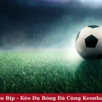 Vạch Trần Kèo Bịp - Kèo Dụ Bóng Đá Cùng Keonhacaibongda88